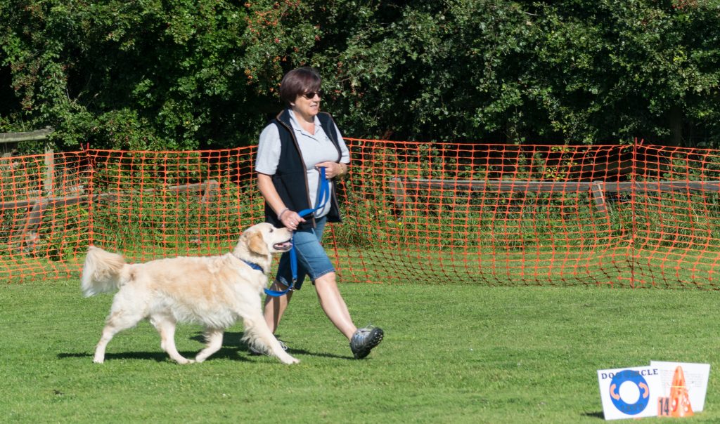 FAQ www.talkingdogsrally.co.uk